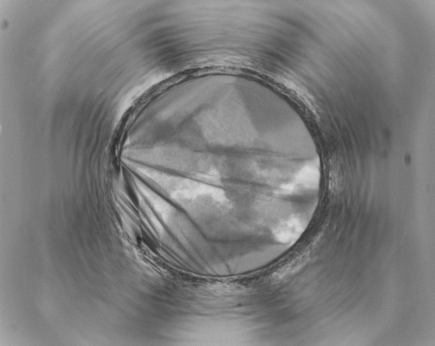 X0000088221117200706121823