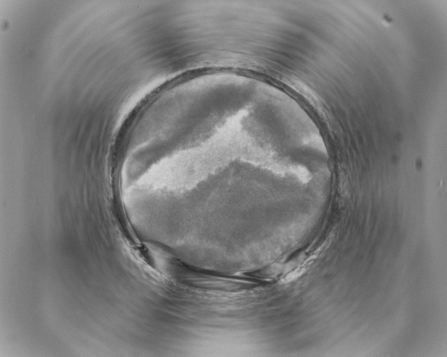 X0000088221120200706121823