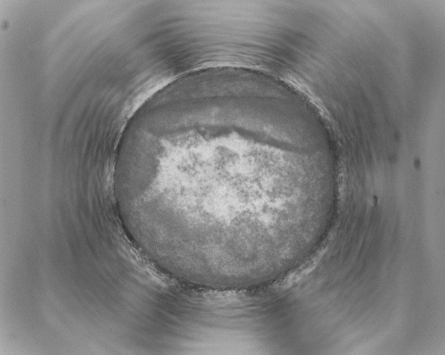 X0000088221121200706121823