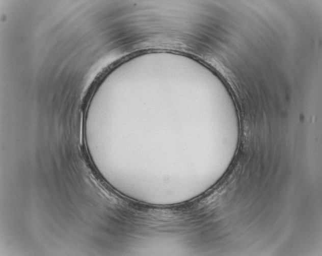 X0000088221123200706121823