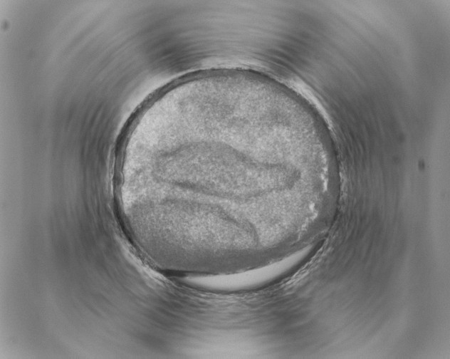 X0000088221124200706121823