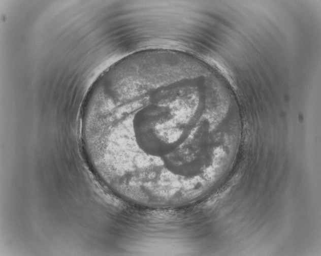 X0000088221125200706121823