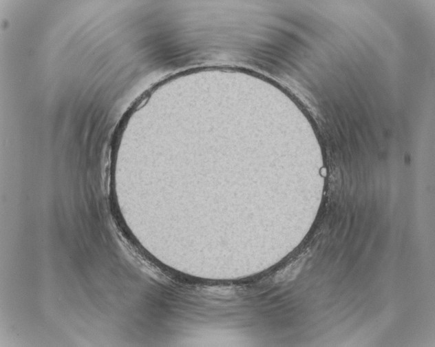 X0000088221126200706121823