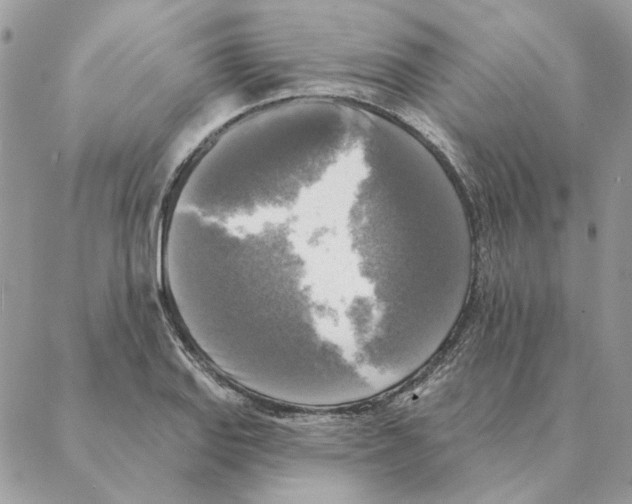 X0000088221127200706121823