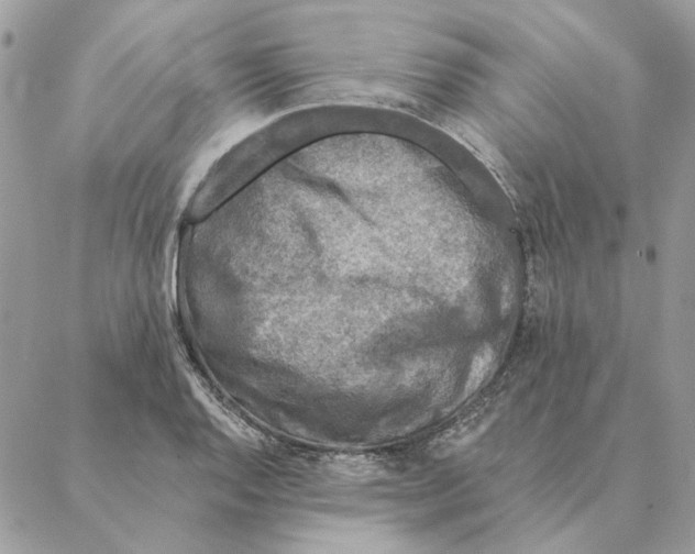 X0000088221128200706121823