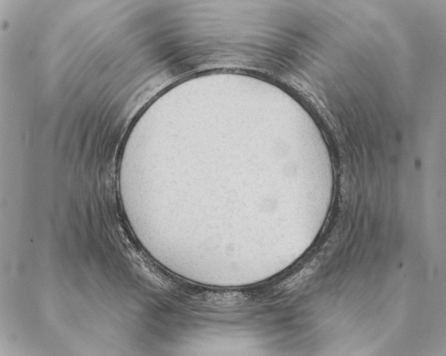 X0000088221129200706121823