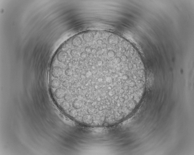 X0000088221130200706121823