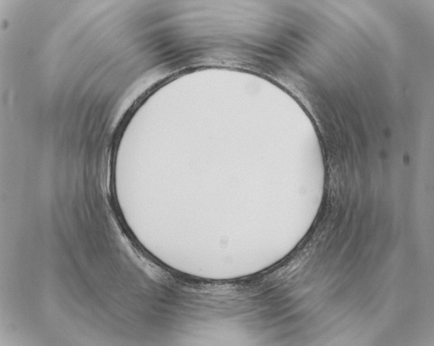 X0000088221131200706121823