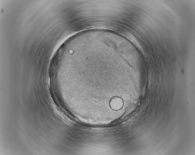 X0000088221132200706121823