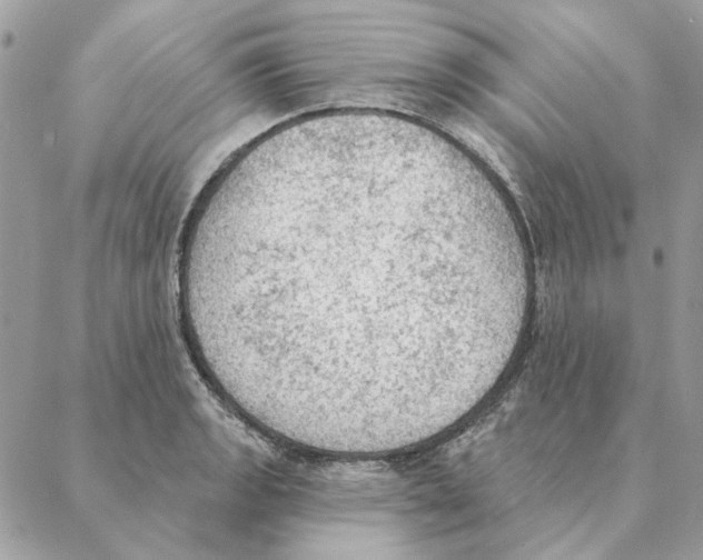 X0000088221133200706121823