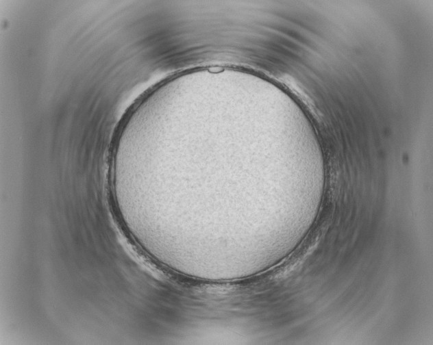 X0000088221134200706121823