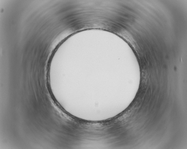 X0000088221135200706121823