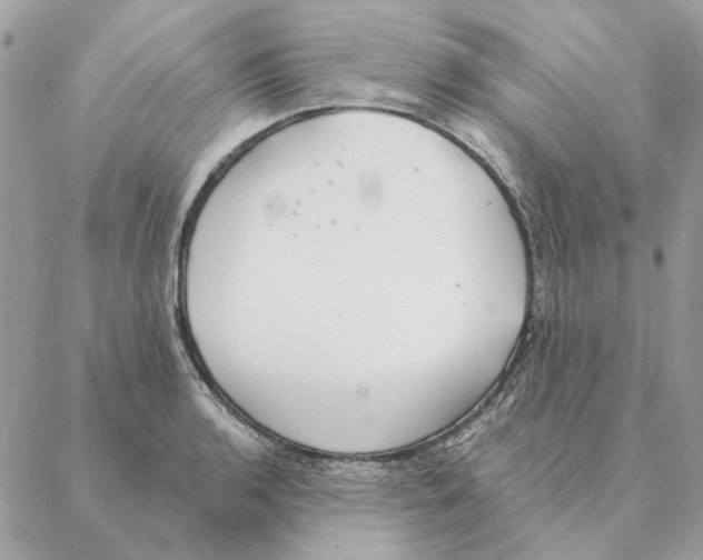 X0000088221136200706121823