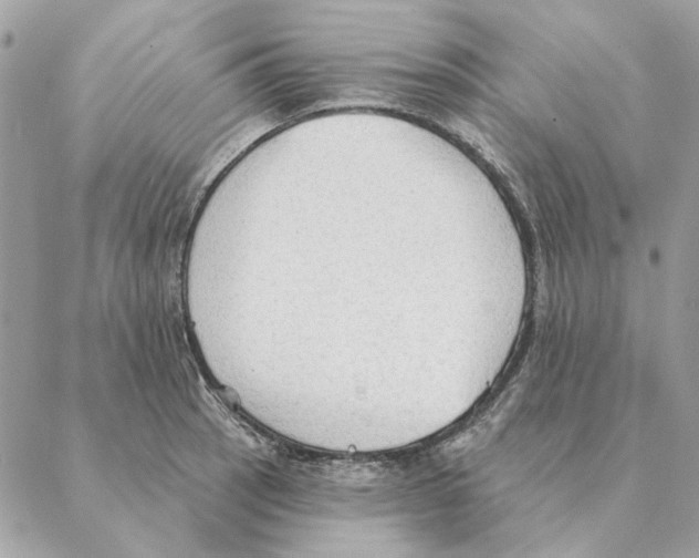 X0000088221137200706121824