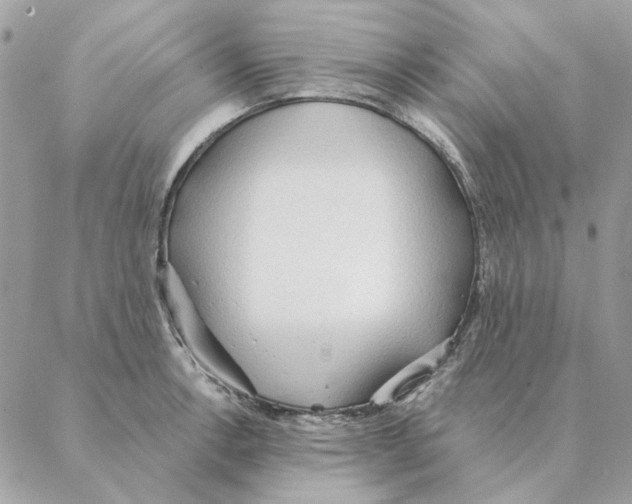 X0000088221138200706121824