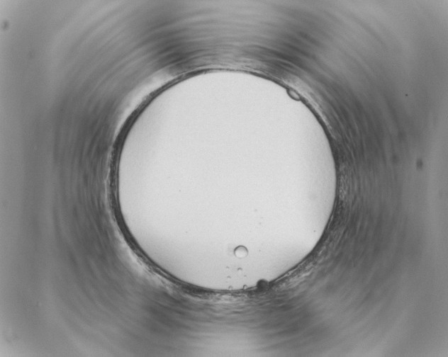 X0000088221139200706121824