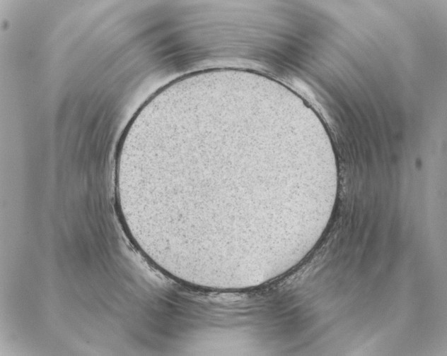 X0000088221140200706121824