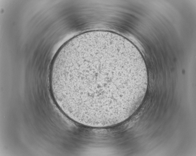 X0000088221142200706121824