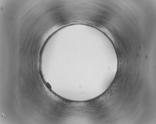 X0000088221143200706121824