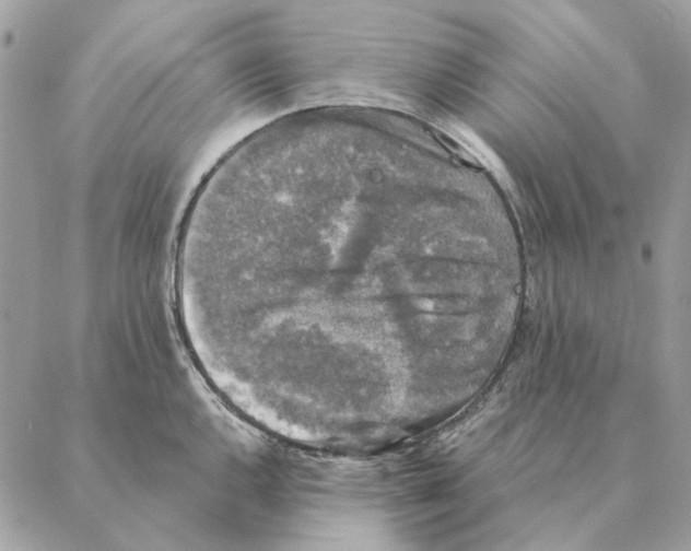 X0000088221144200706121824