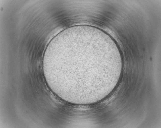 X0000088221145200706121824