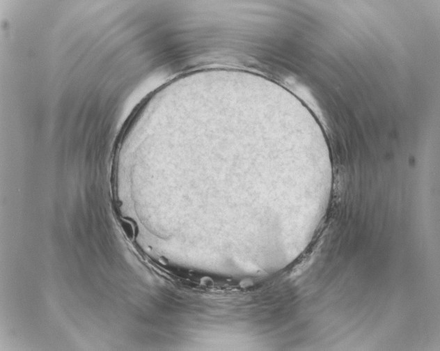 X0000088221146200706121824