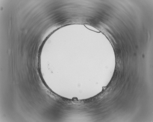 X0000088221147200706121824