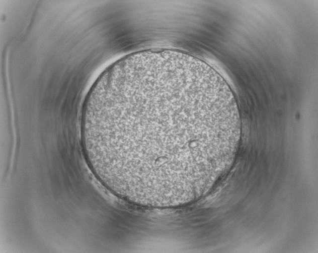 X0000088221148200706121824