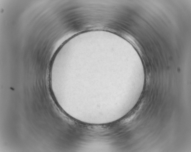 X0000088221149200706121824