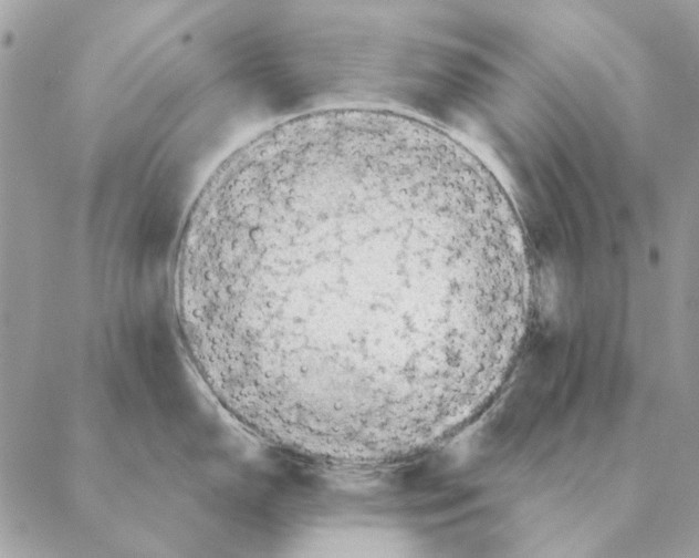 X0000088221150200706121824