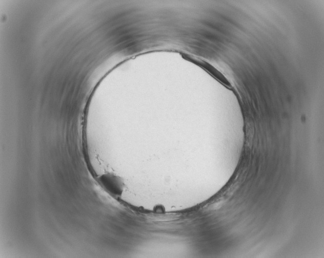 X0000088221151200706121824