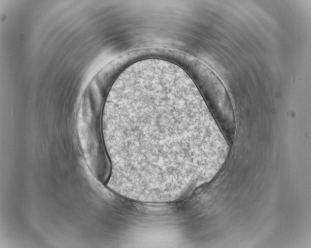 X0000088221152200706121824