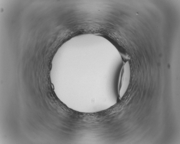 X0000088221153200706121823