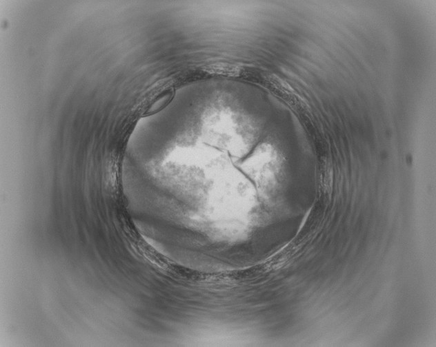 X0000088221154200706121823