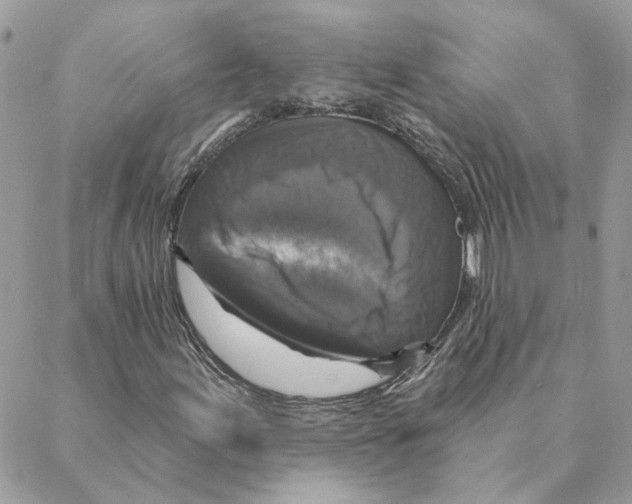 X0000088221155200706121823