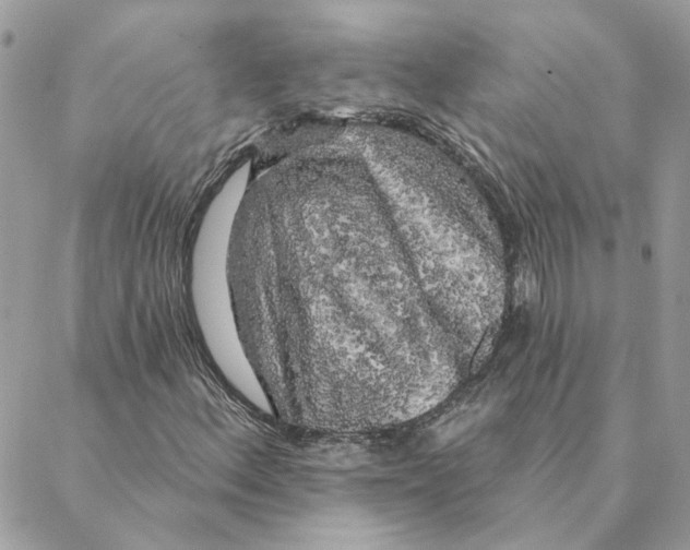 X0000088221156200706121823