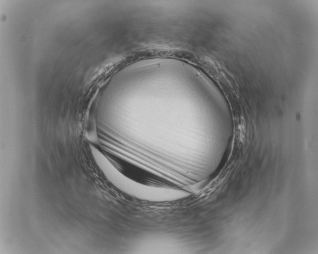 X0000088221157200706121823