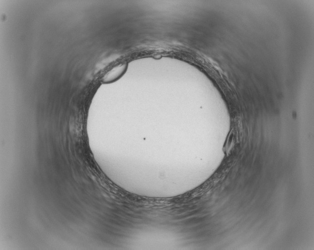 X0000088221158200706121823