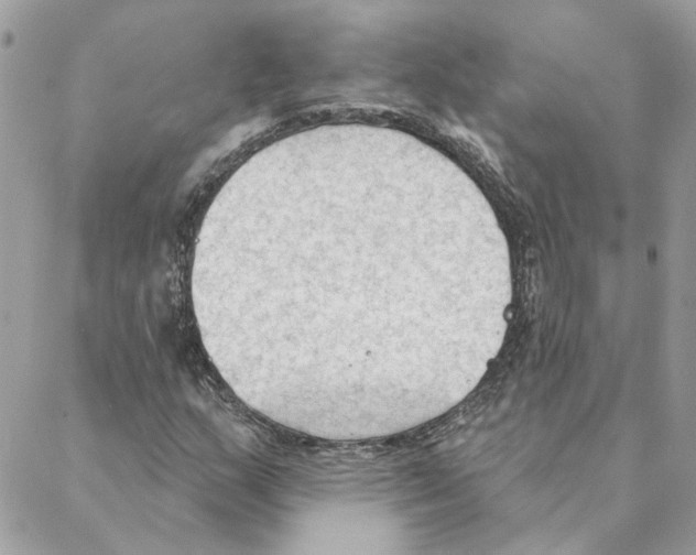 X0000088221159200706121823