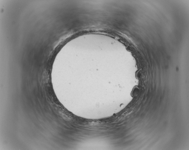 X0000088221160200706121823