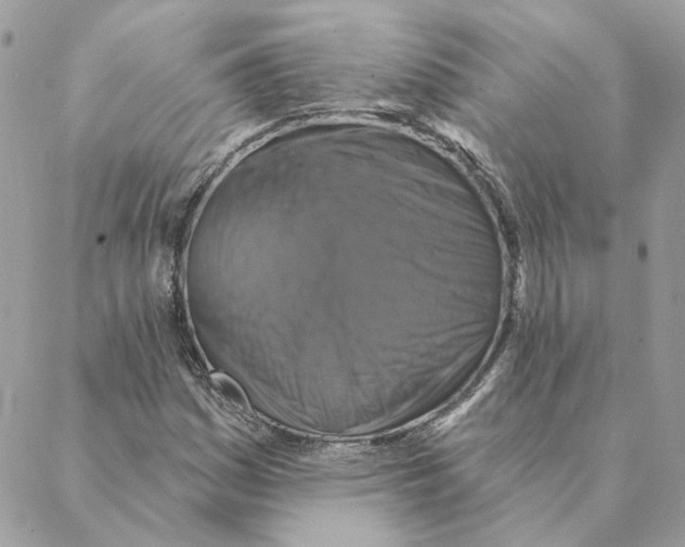 X0000088221161200706121823