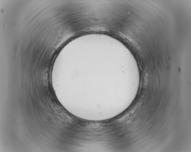 X0000088221162200706121823