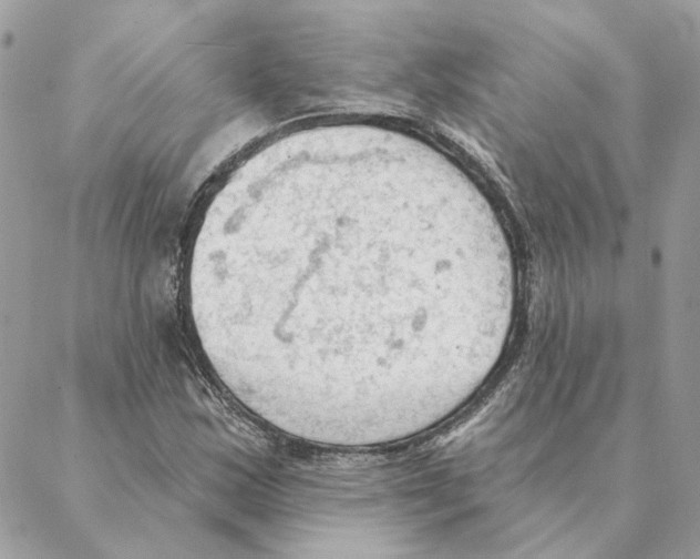 X0000088221163200706121823