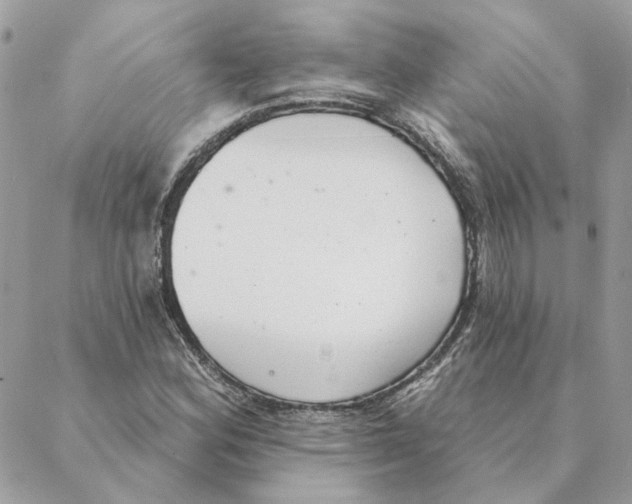 X0000088221164200706121823