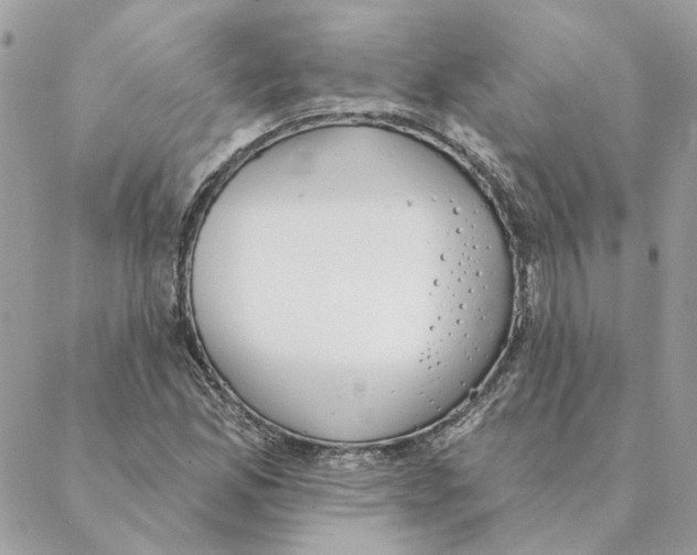 X0000088221165200706121823