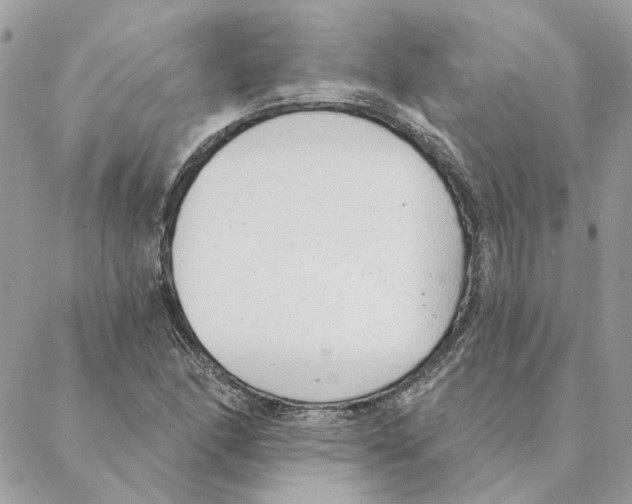 X0000088221166200706121823