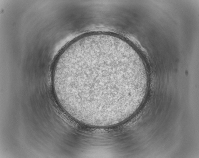 X0000088221167200706121823