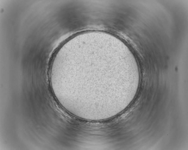 X0000088221168200706121823