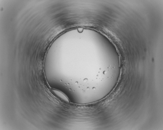 X0000088221169200706121823