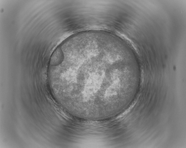 X0000088221170200706121823